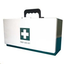 Livingstone First Aid Empty Recyclable Plastic Case, Medium, 28.2 x 13 x 10.2 cm, Green, Each